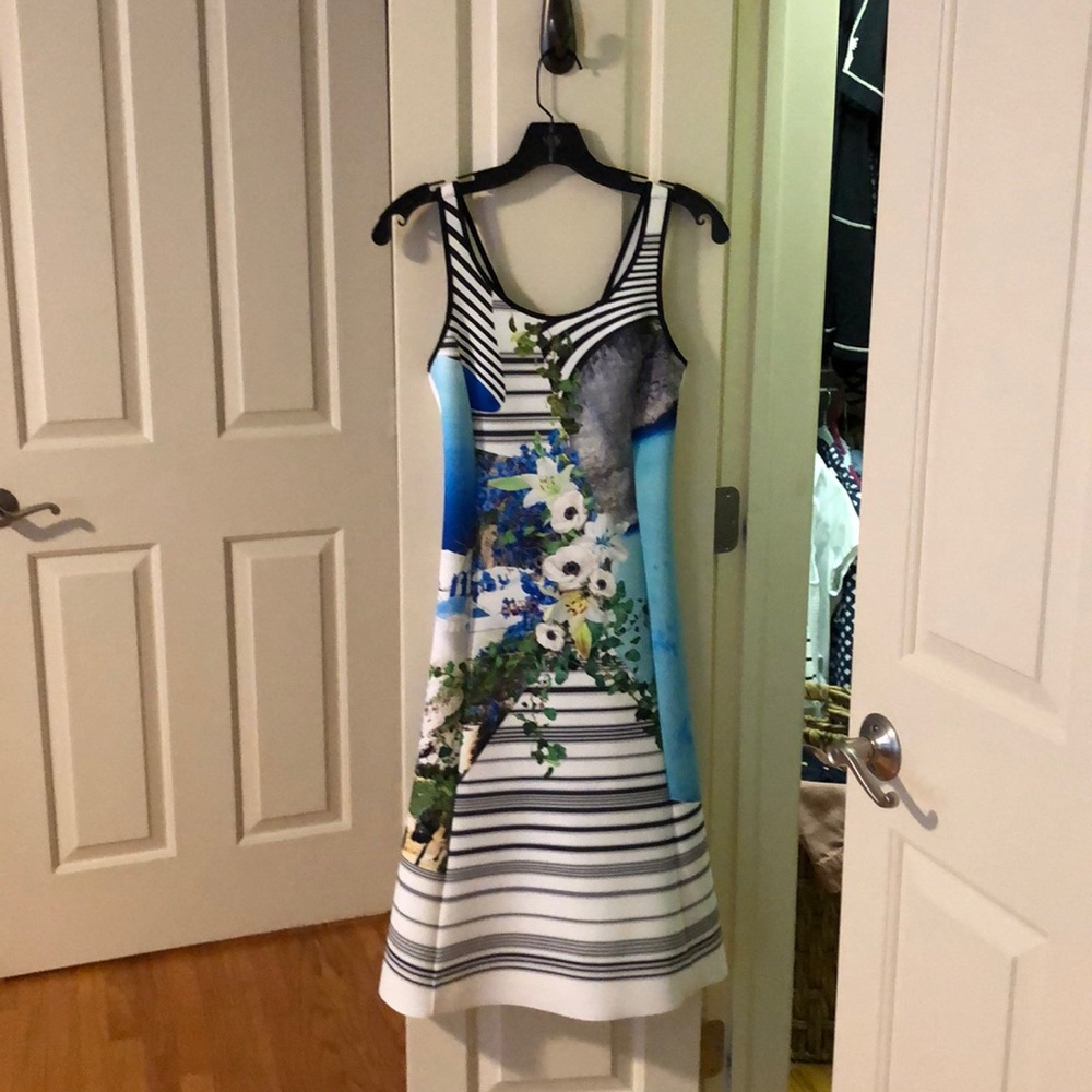Clover Canyon Blue Graphic Dress